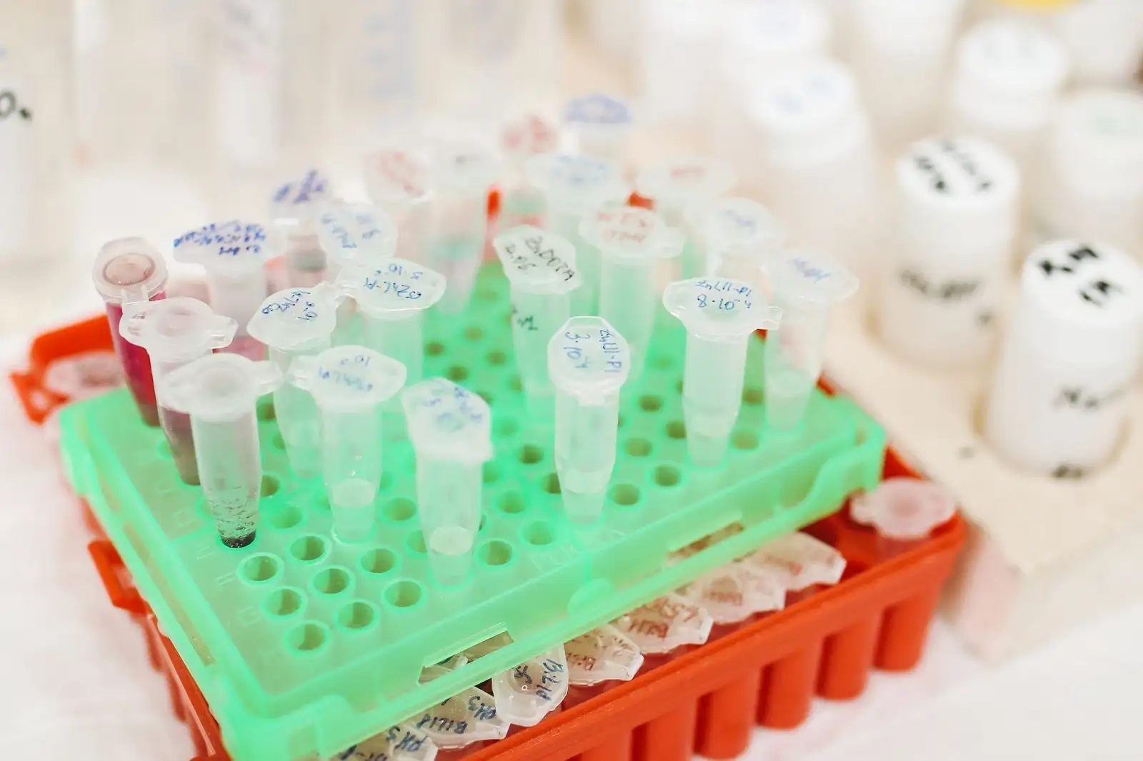 Tubes d'échantillons annotés à la main dans un portoir vert, sur une paillasse de laboratoire