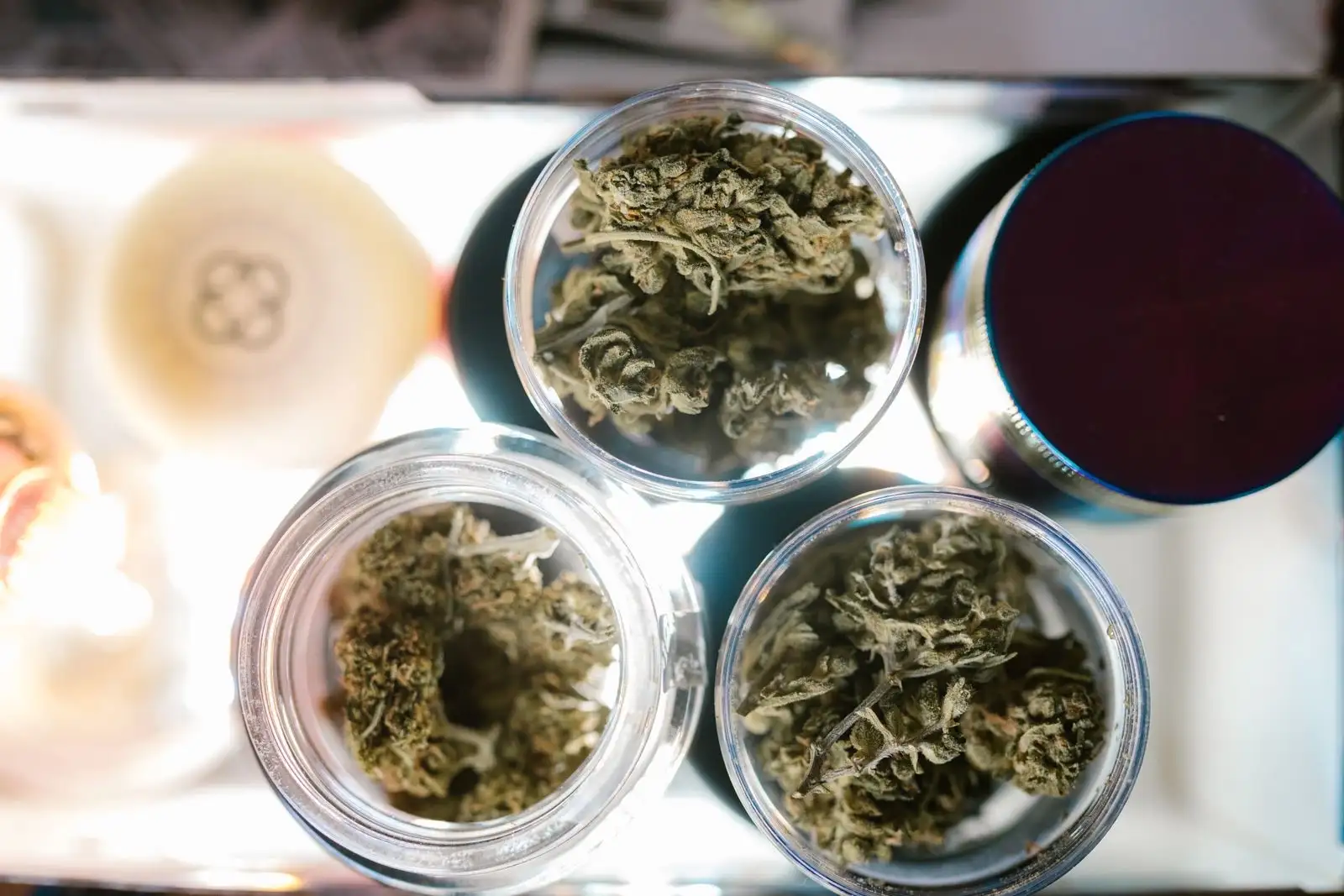 Coffee shop CBD ou d'Amsterdam : 0,3 % contre 15,6 % de THC