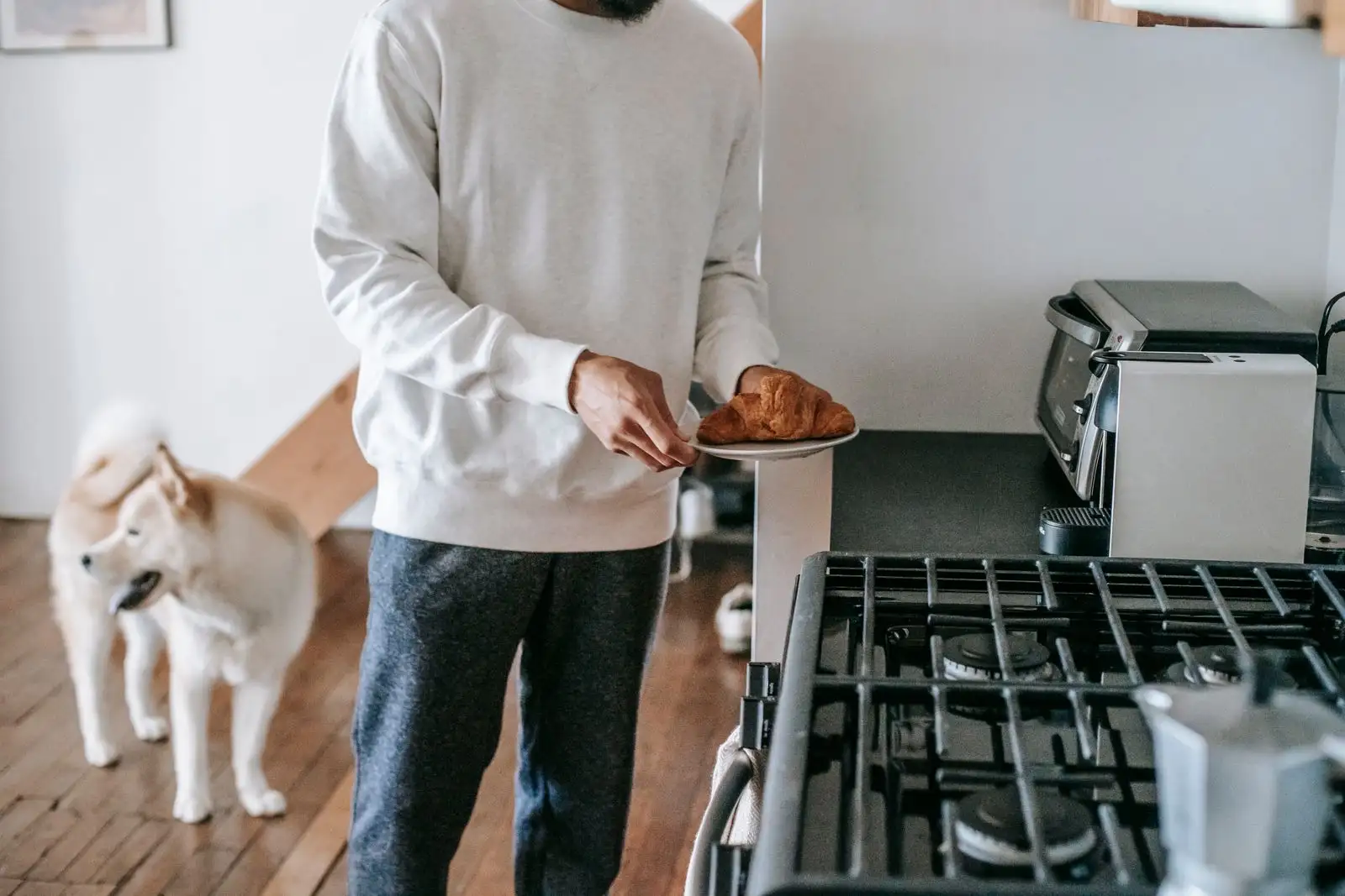 CBD avalé par un enfant, un chien, un chat : qui appeler