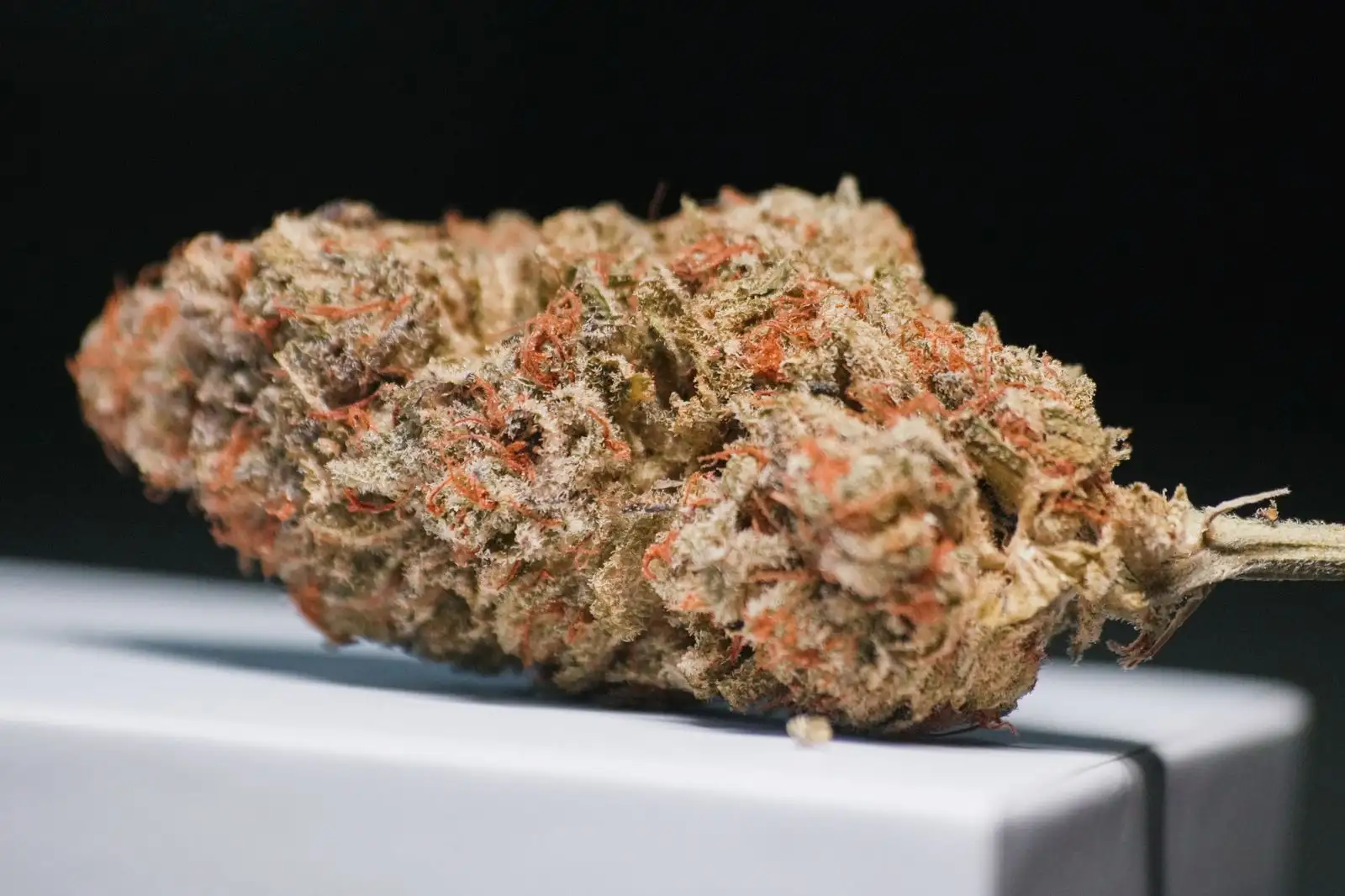CBG (cannabigérol) : définition de la molécule mère du CBD