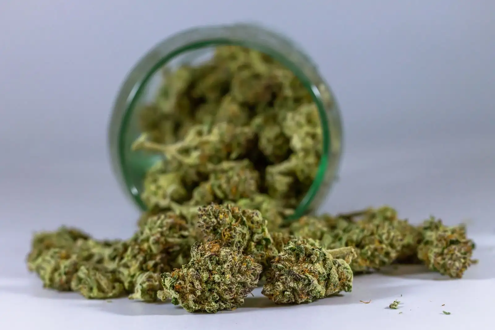 Fleurs CBD à 100 g : 0,99 €/g, mais pas le CBD le moins cher