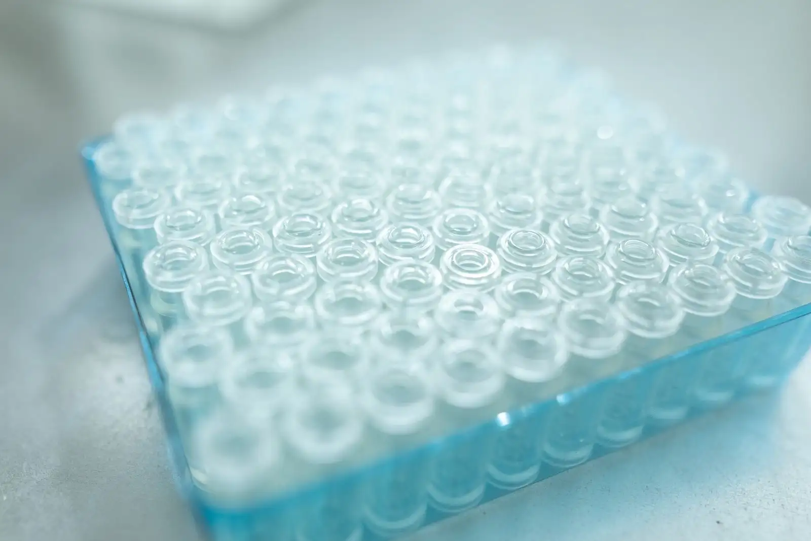 Portoir bleu rempli de flacons en verre vides dans un laboratoire d'analyse