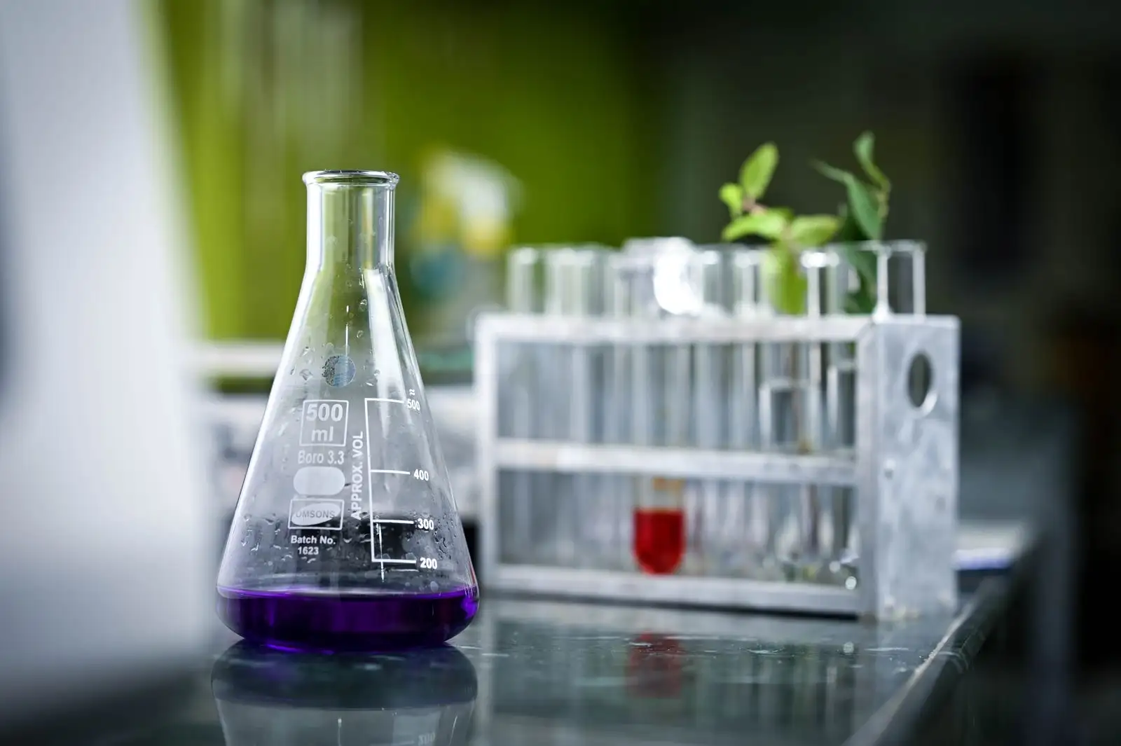 Erlenmeyer contenant un liquide violet devant un portoir de tubes à essai, dans un laboratoire