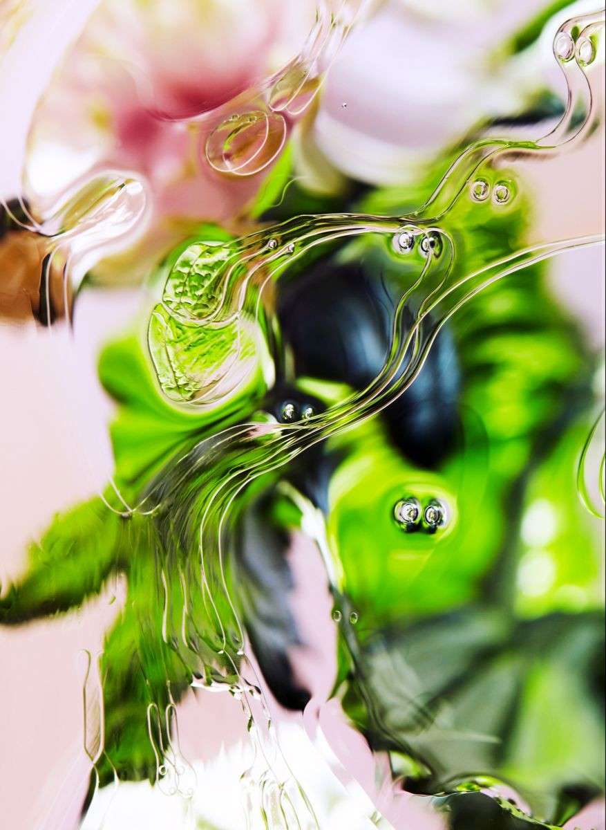 Gros plan abstrait de fleurs et de feuillage à travers un effet de verre