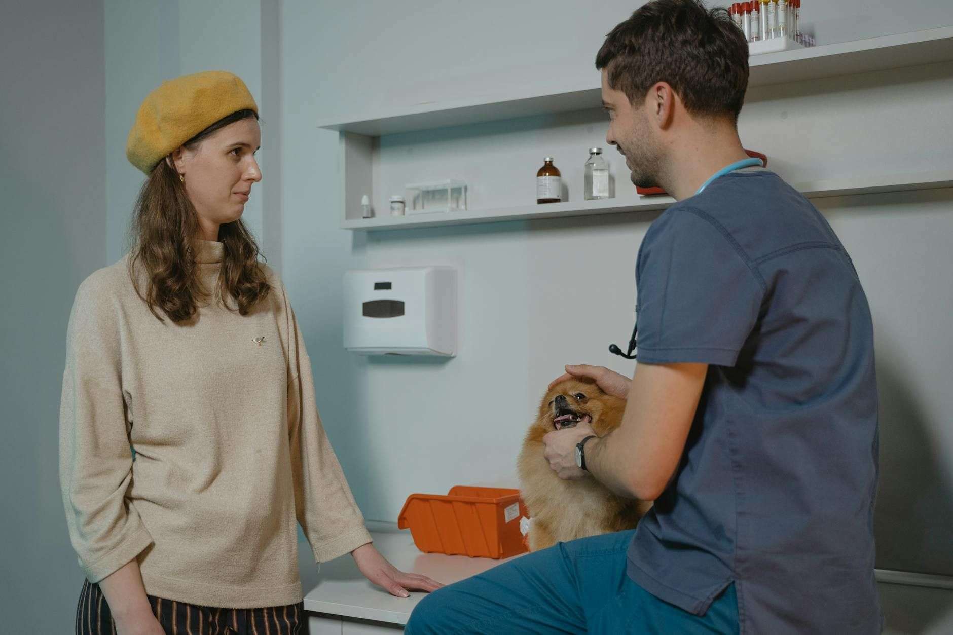 CBD pour chien : ce que dit le cadre vétérinaire français