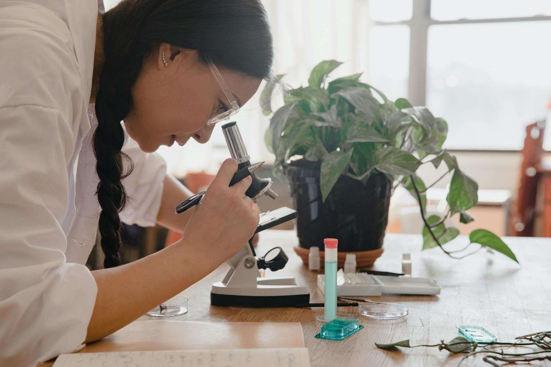 CBG (cannabigérol) : définition simple d'un cannabinoïde mineur