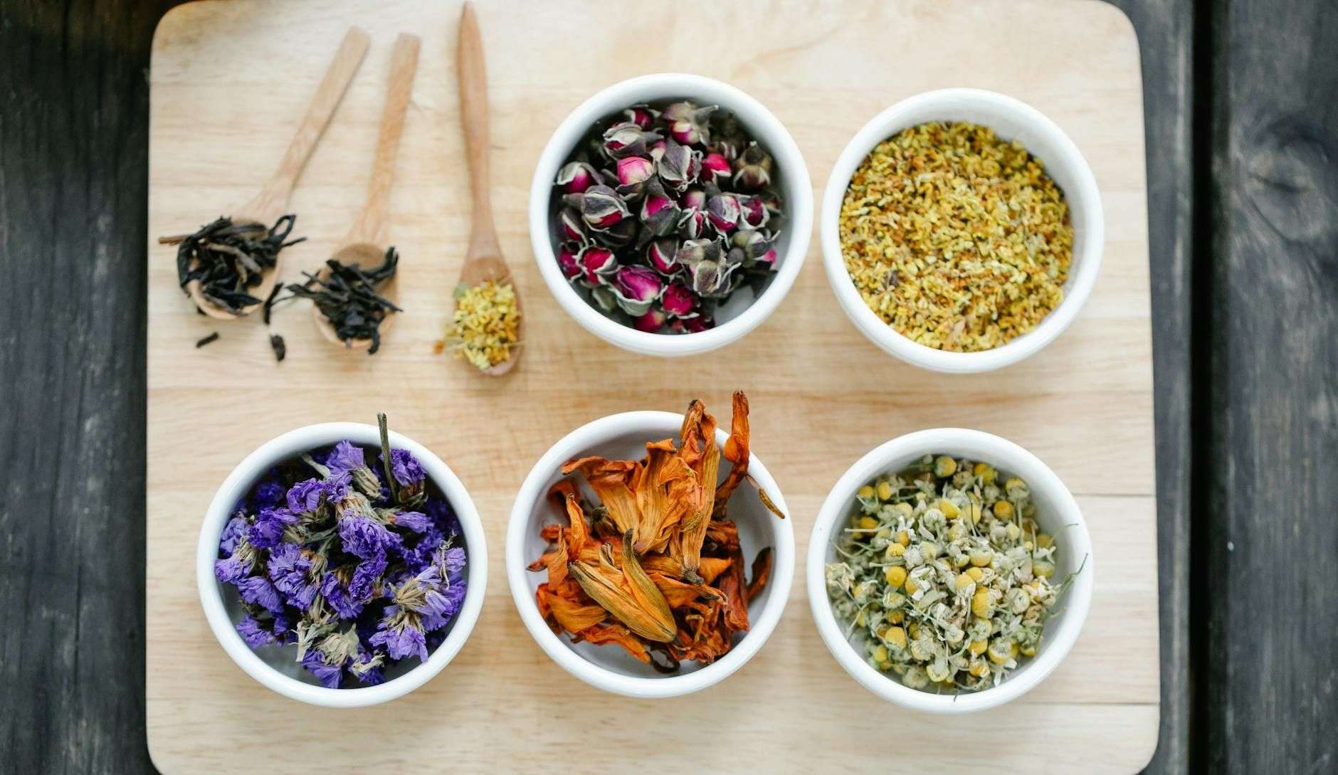 Champignons fonctionnels : histoire, science et cadre français