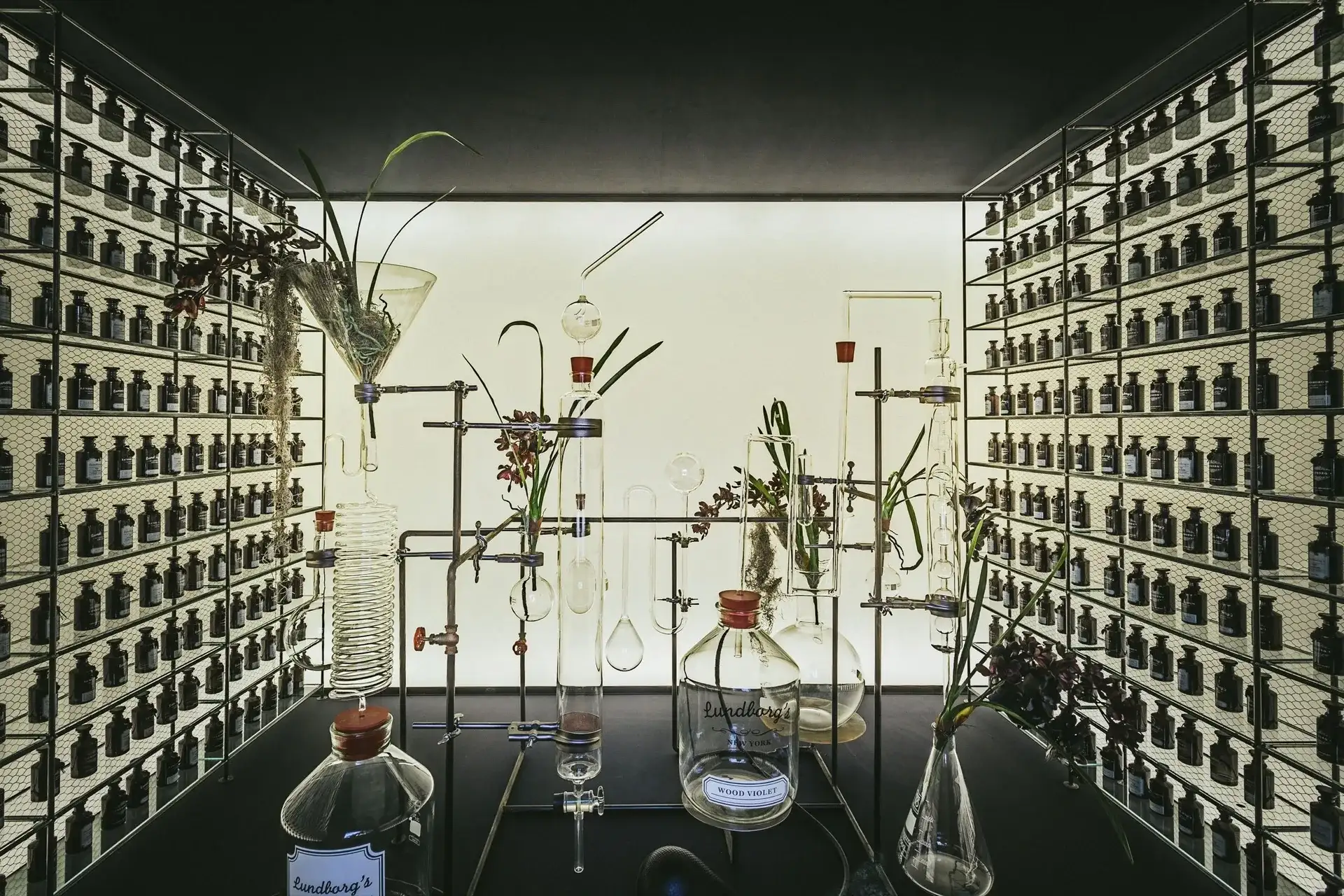 Salle d'apothicaire du laboratoire : verrerie de chimie et flacons ambrés