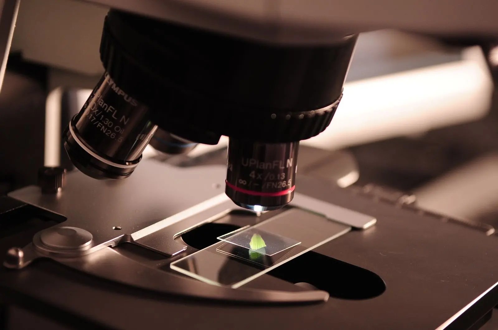 Objectifs d'un microscope de laboratoire au-dessus d'une lame d'échantillon