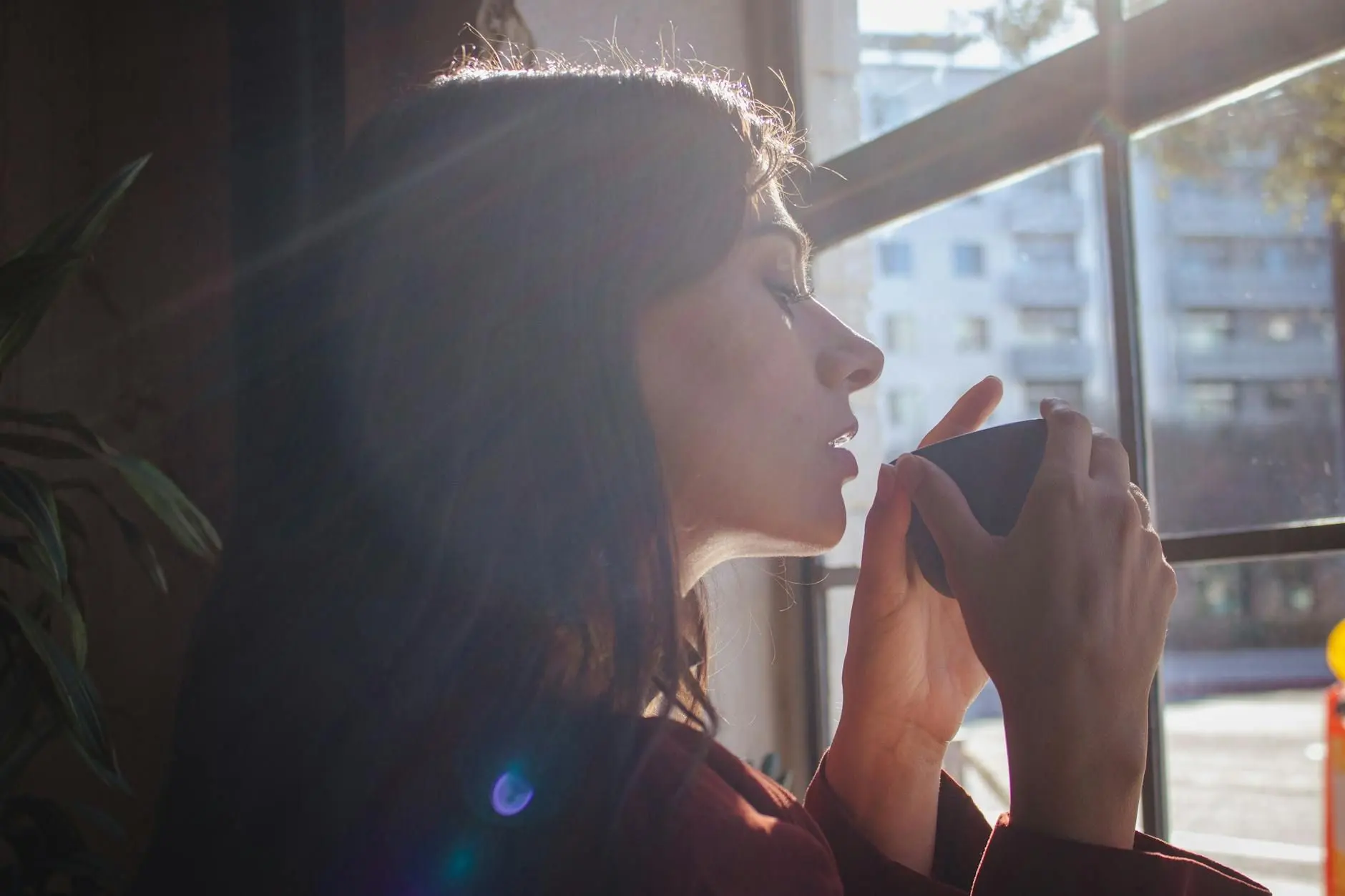 CBD et anxiété occasionnelle : ce que dit la science