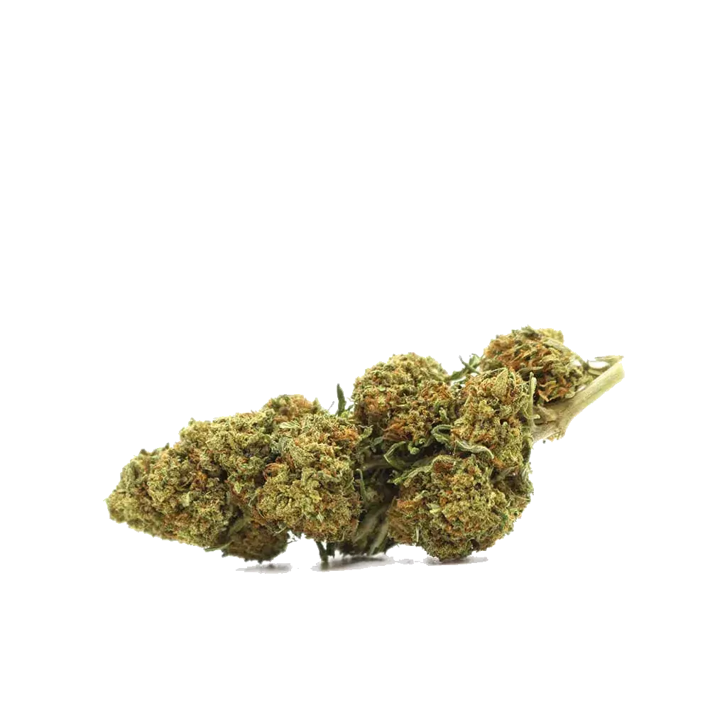 Fruit Cake