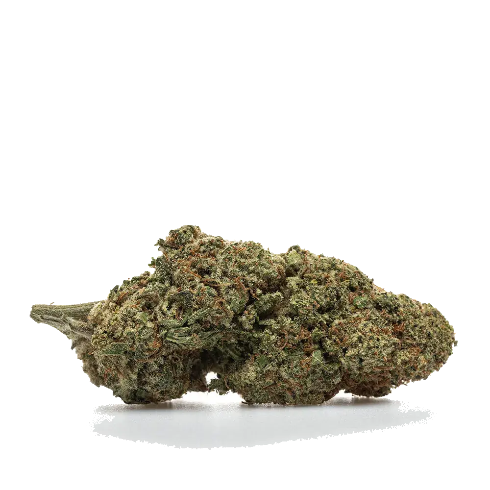 Alien Og, photo 2