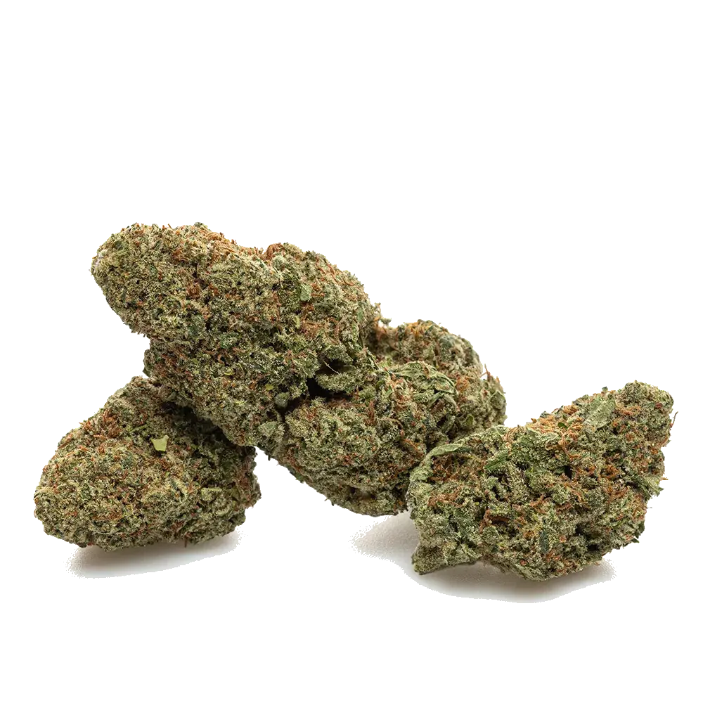 Alien Og, photo 3