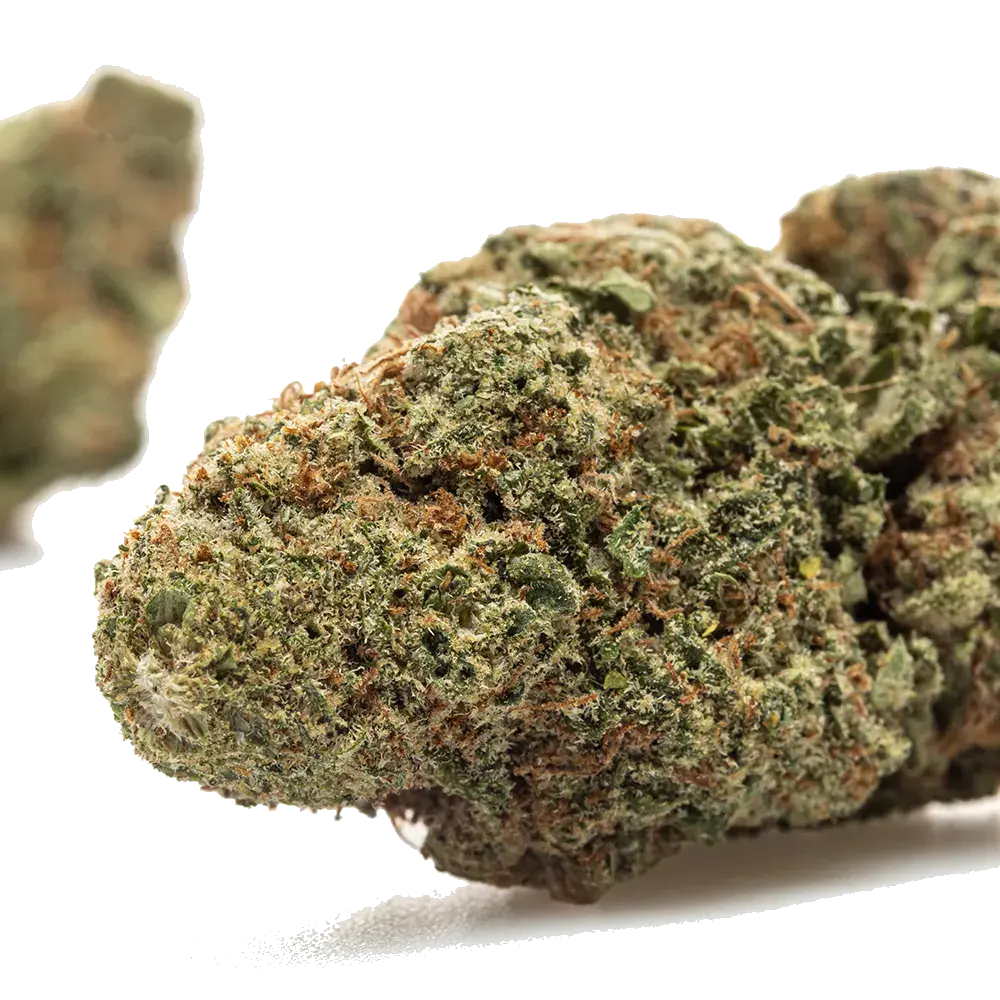 Alien Og, photo 4
