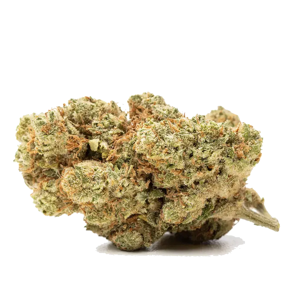 Amnesia Haze