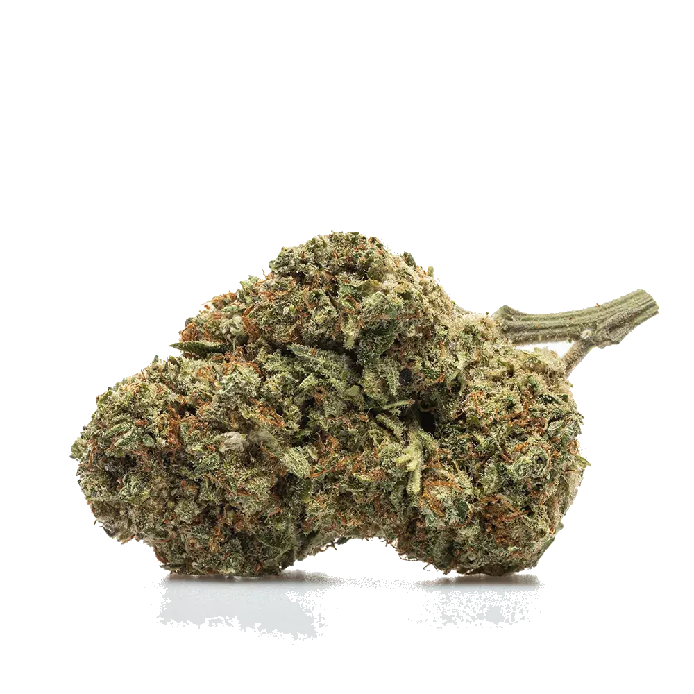Blueberry, photo 2