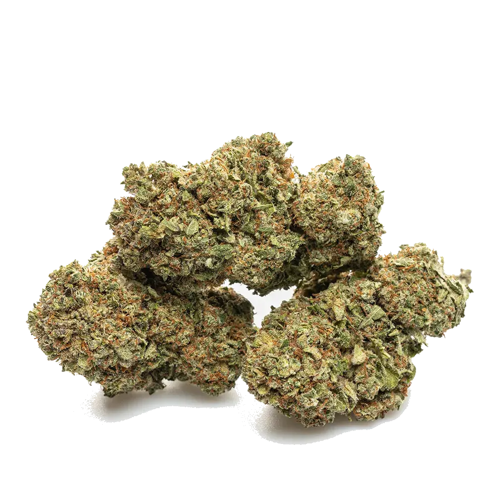 Blueberry, photo 4