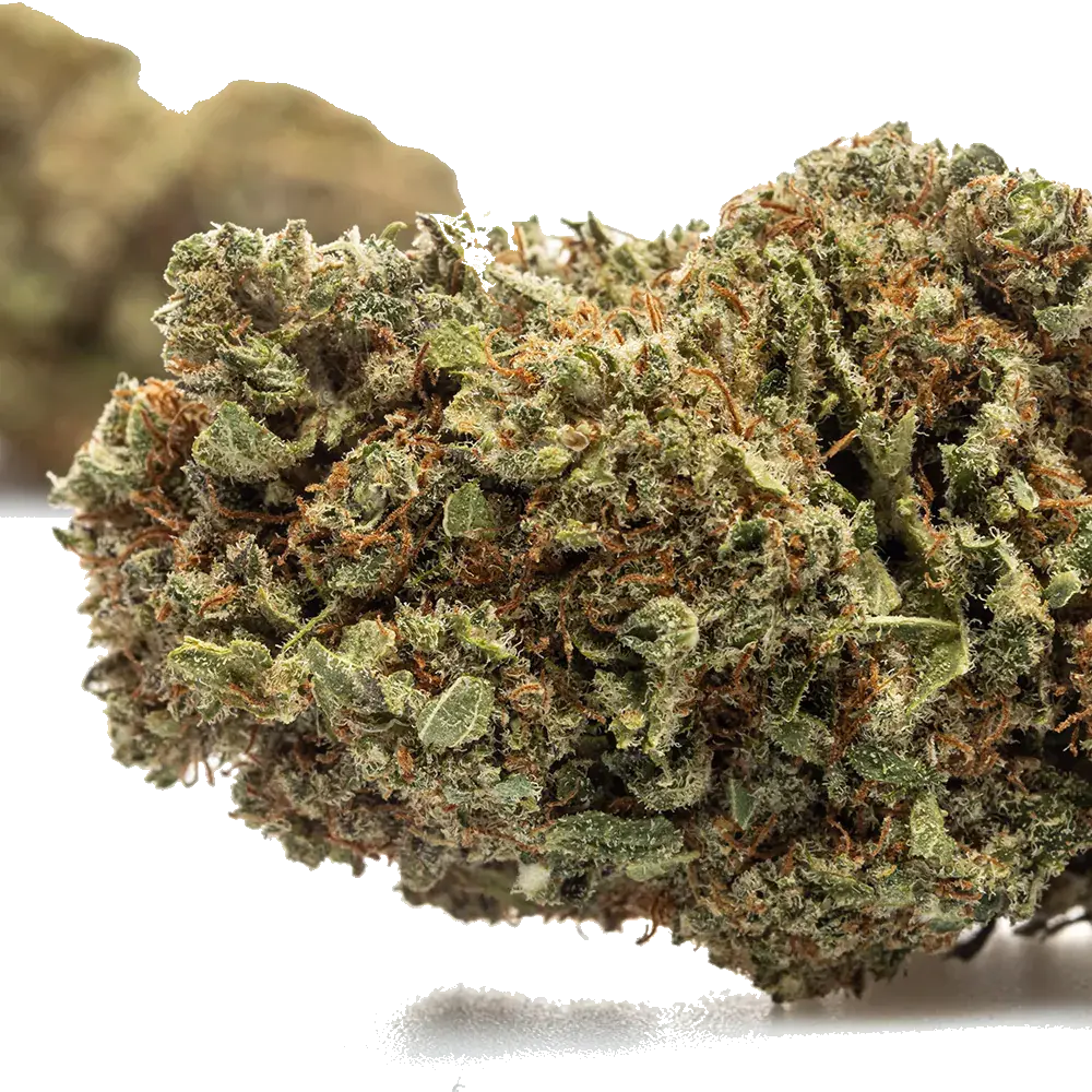Blueberry, photo 3