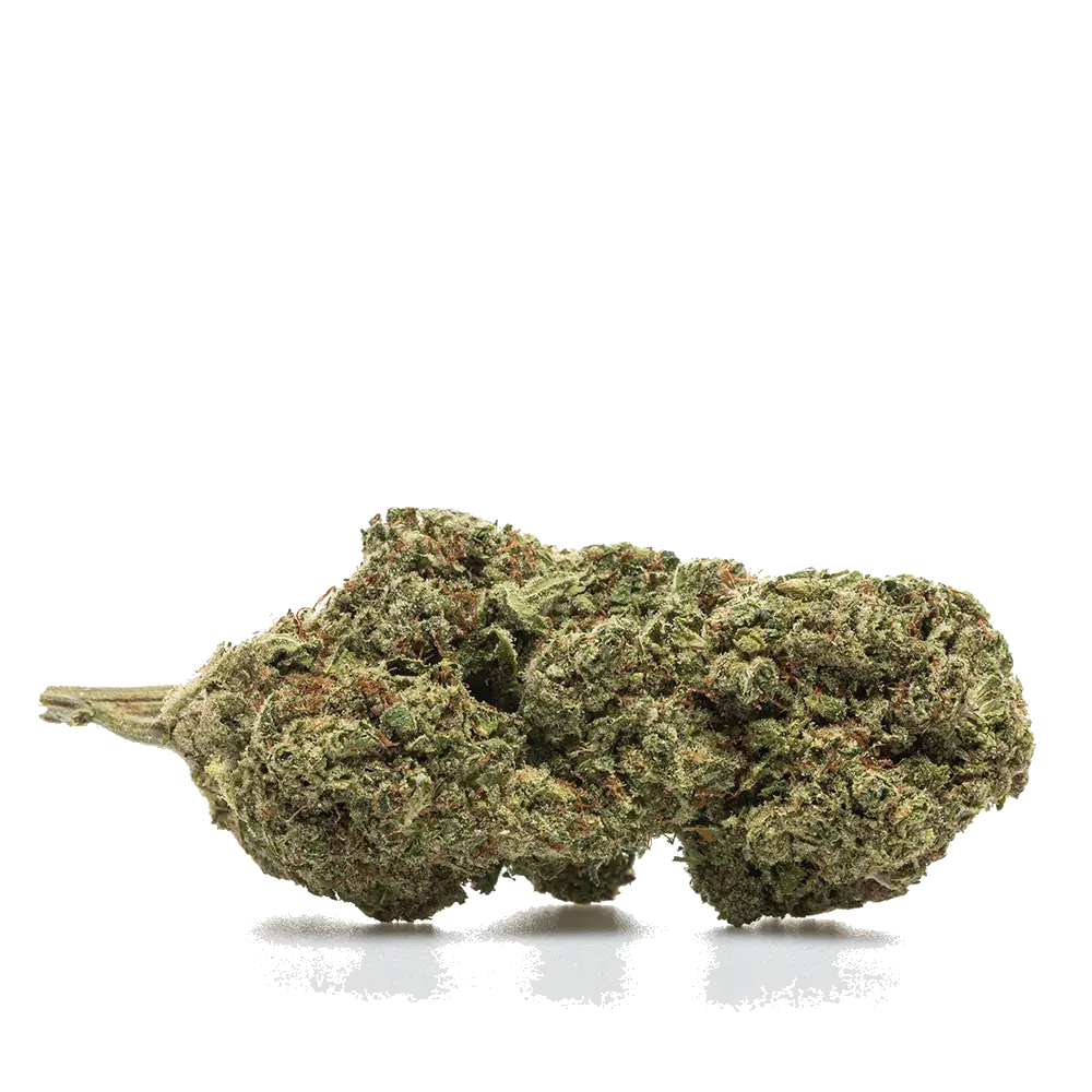 Bubble Gum Hydro