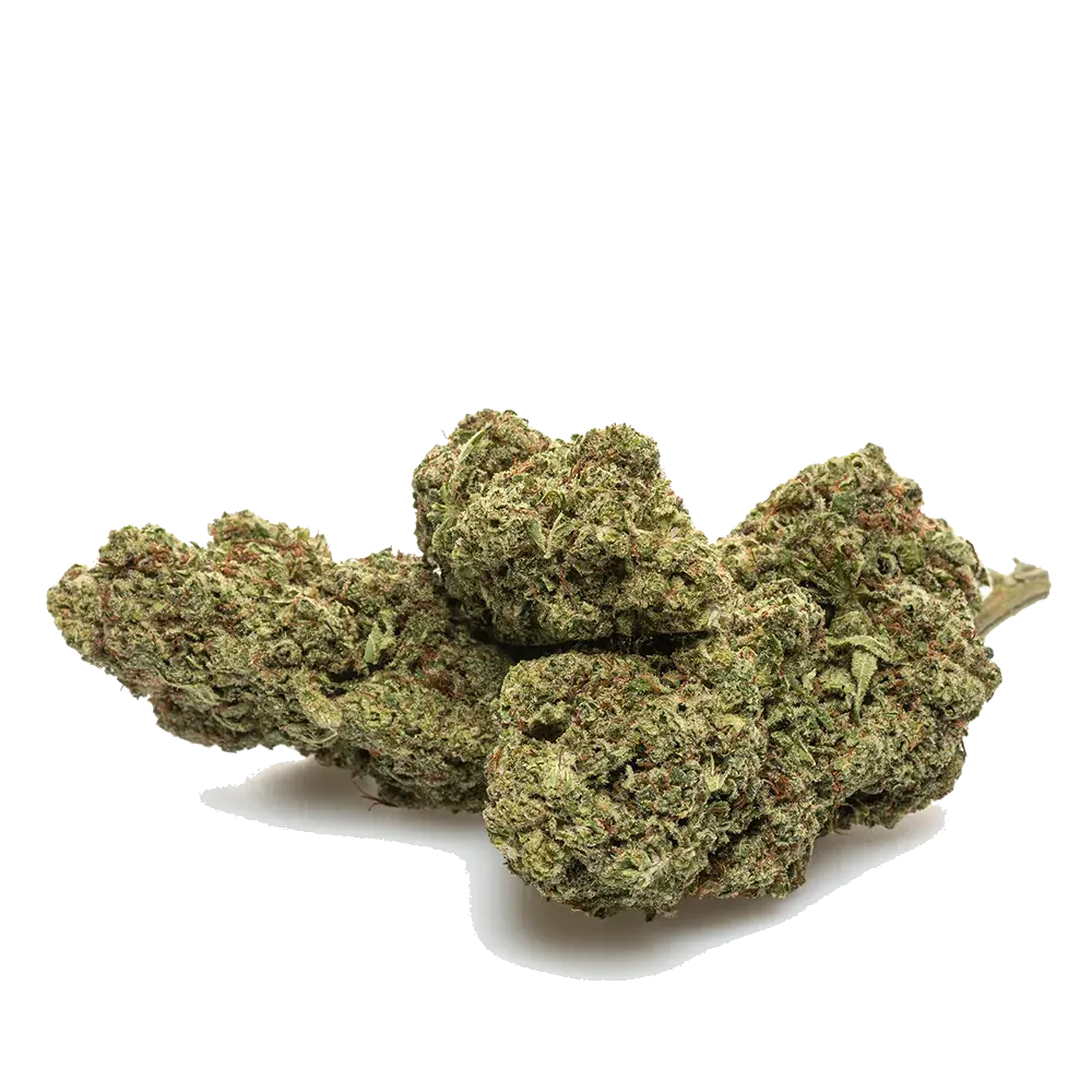 Bubble Gum Hydro, photo 4
