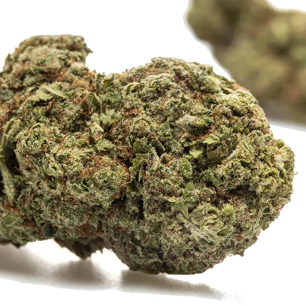 Bubble Gum Hydro, photo 3