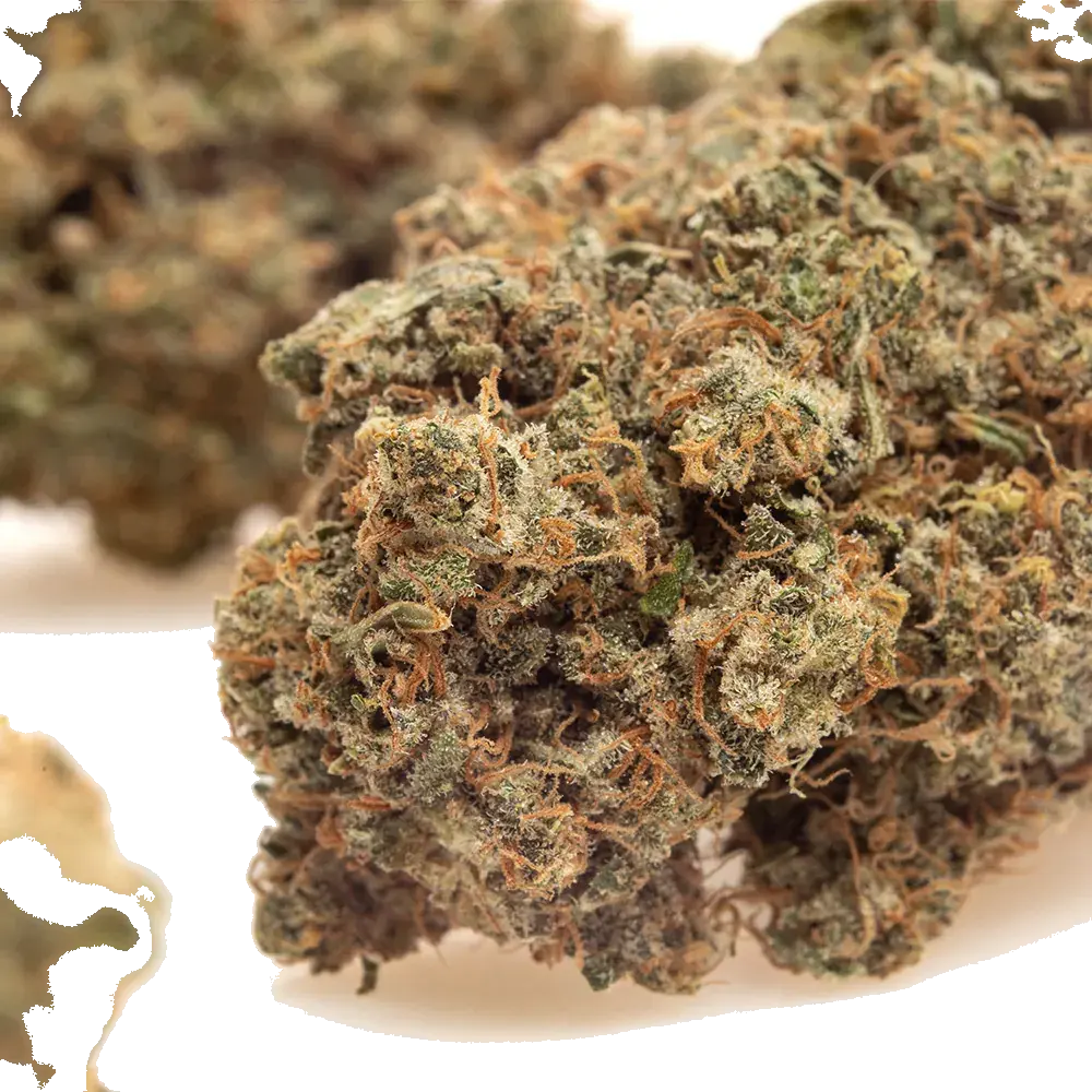 Diamond Kush, photo 4