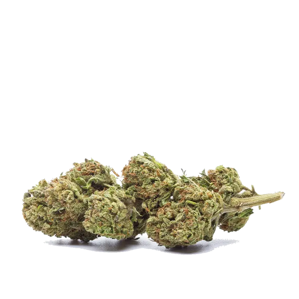Durban Poison