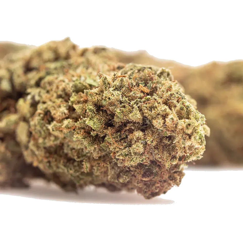 Guava Kush, photo 4