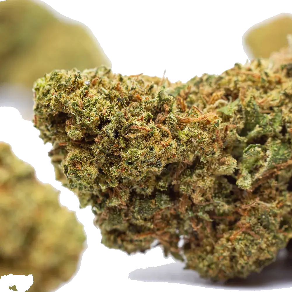 Confidential Weed, photo 4