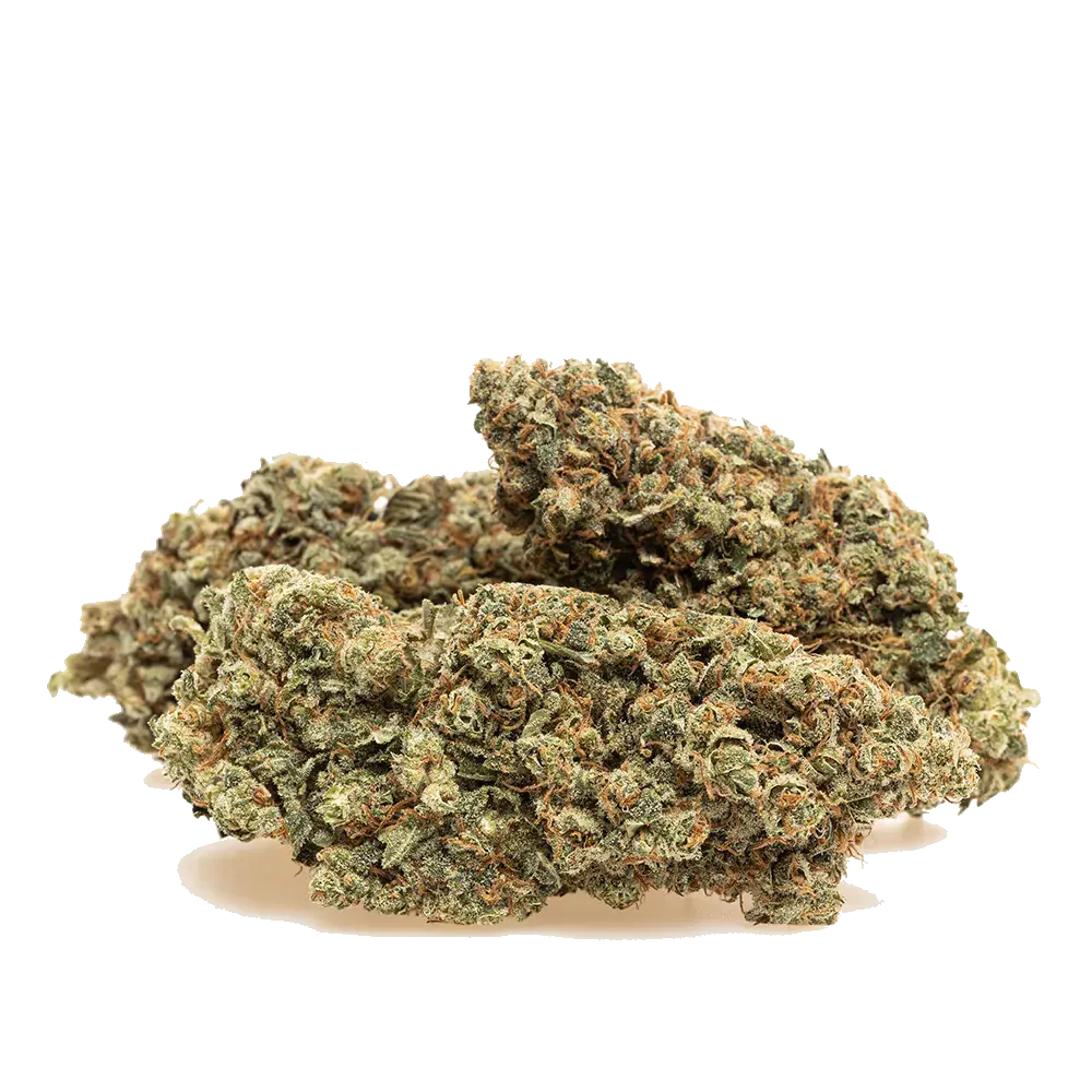 Lemon Cookies, photo 3
