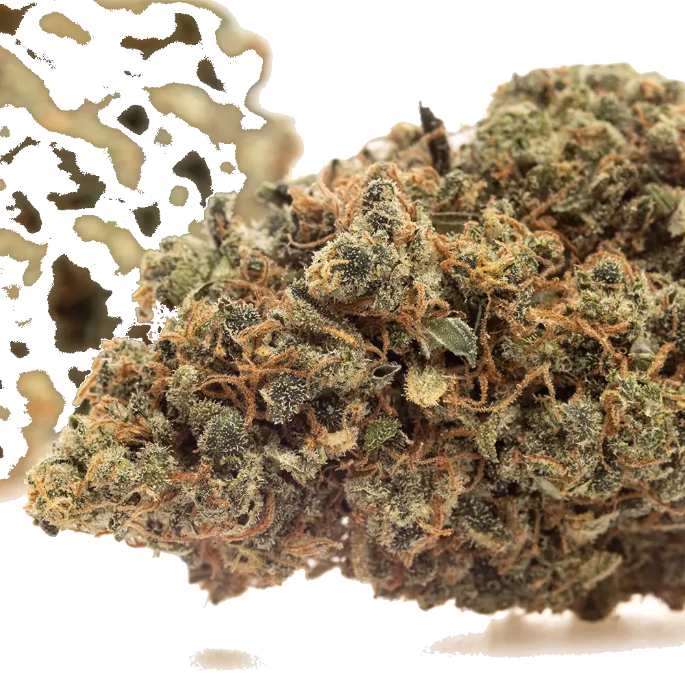 Lemon Cookies, photo 4