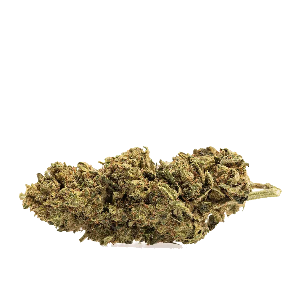 Lemon Kush