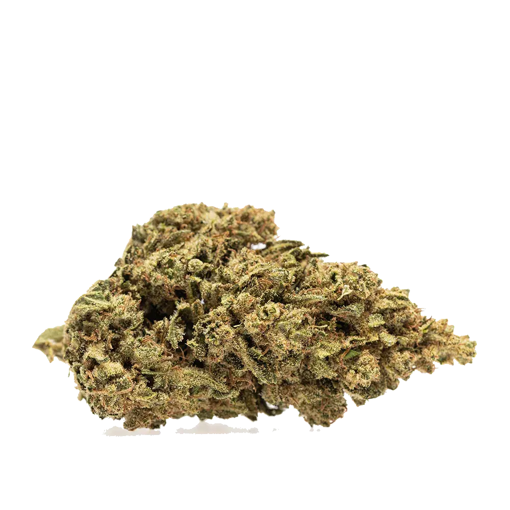 Lemon Kush, photo 2