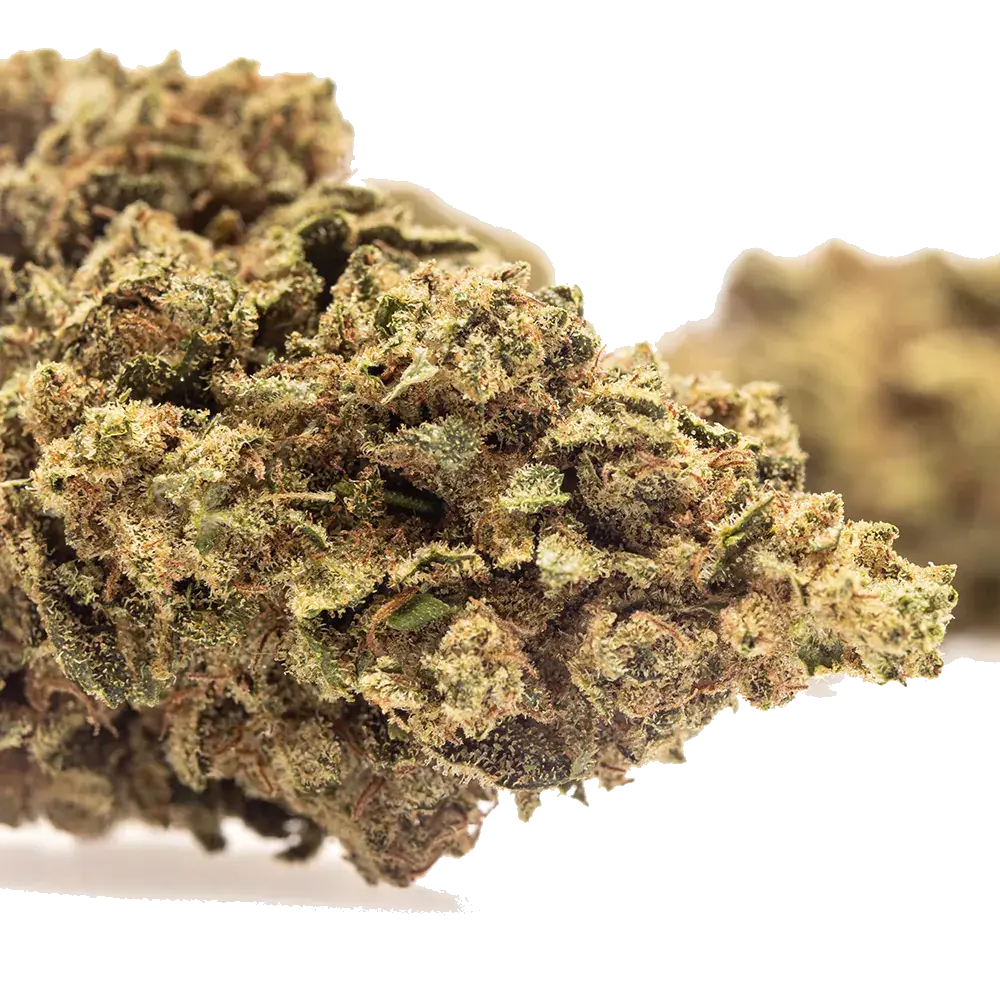 Lemon Kush, photo 4