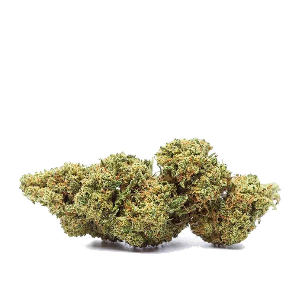 Lemon Soda