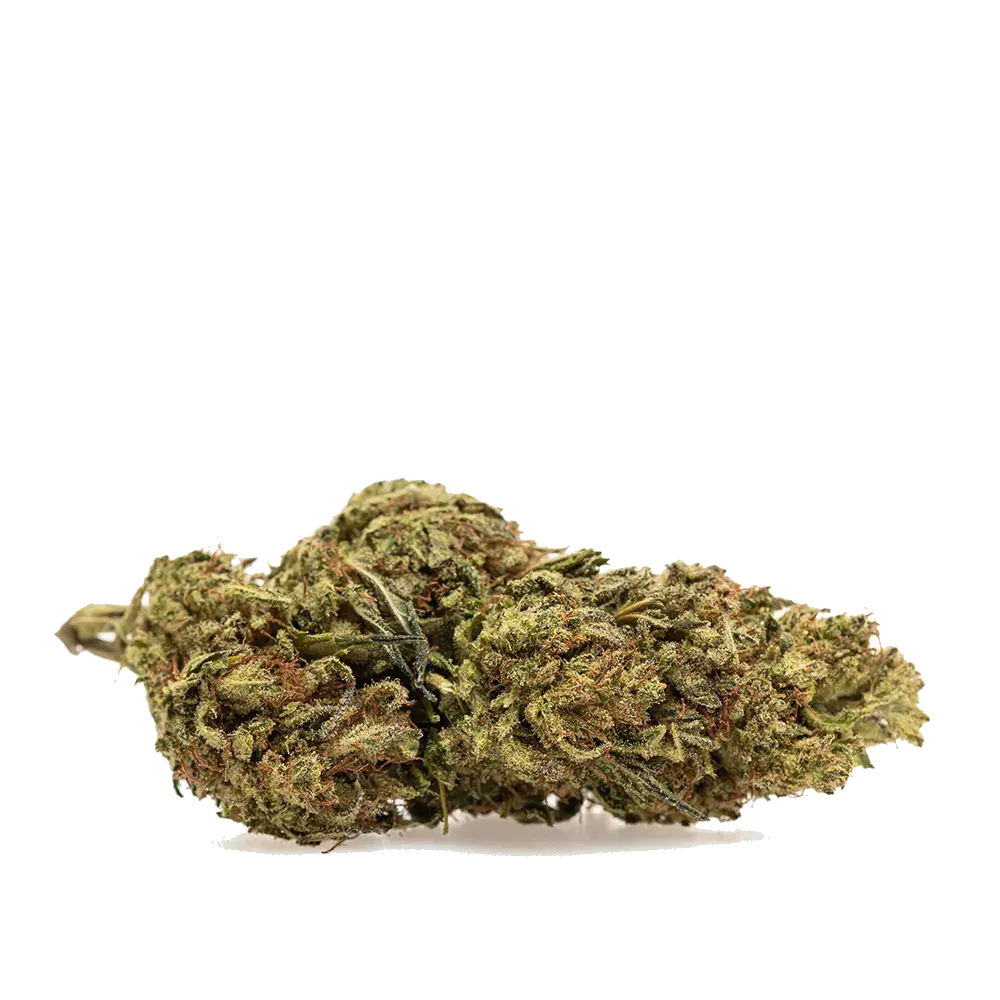 Lemon Zest