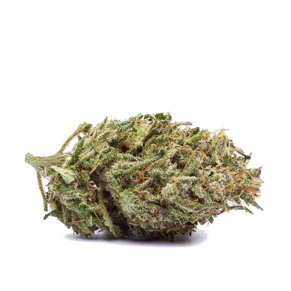 Mango Zkittlez