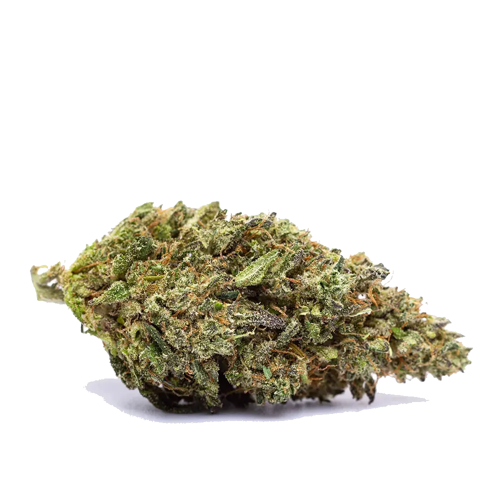 Mango Zkittlez, photo 4