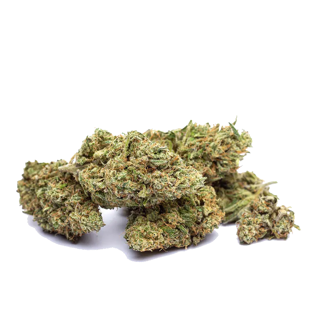 Mango Zkittlez, photo 3