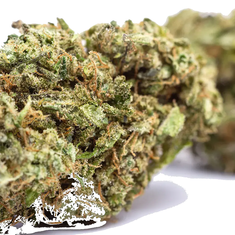 Mango Zkittlez, photo 2
