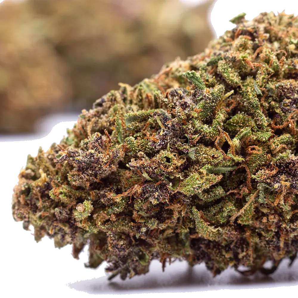 Purple Runtz, photo 4