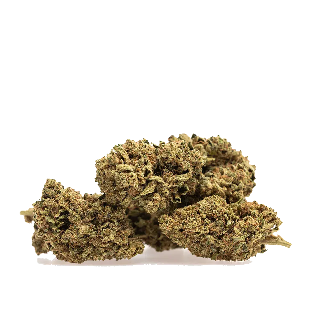 Skunk, photo 3