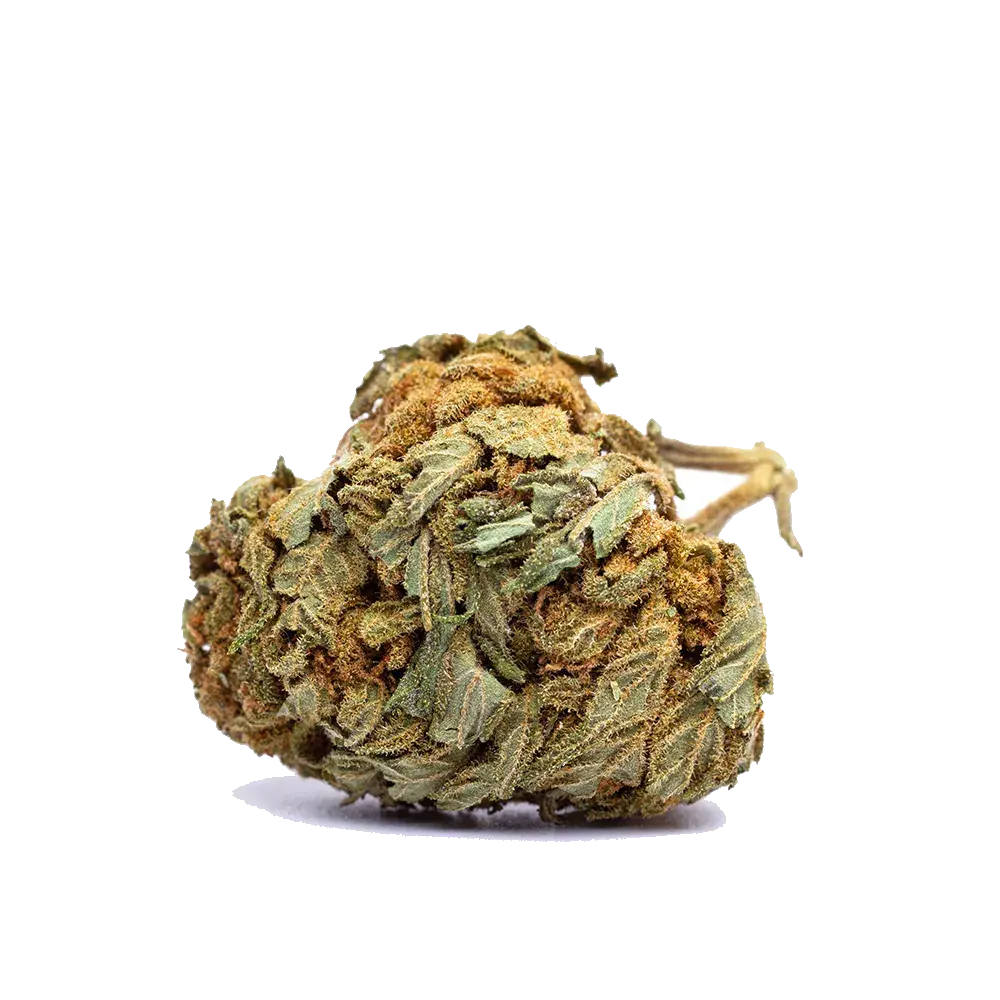 White Widow