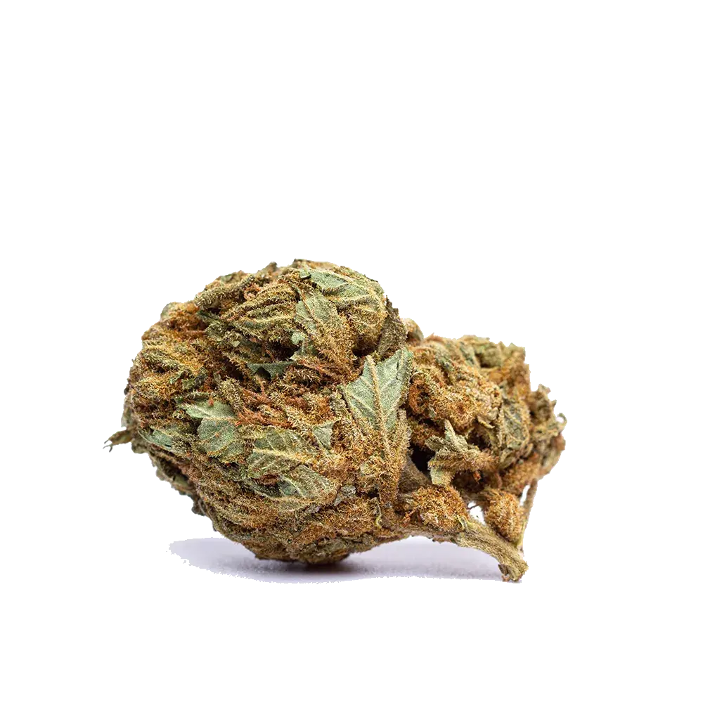 White Widow, photo 2
