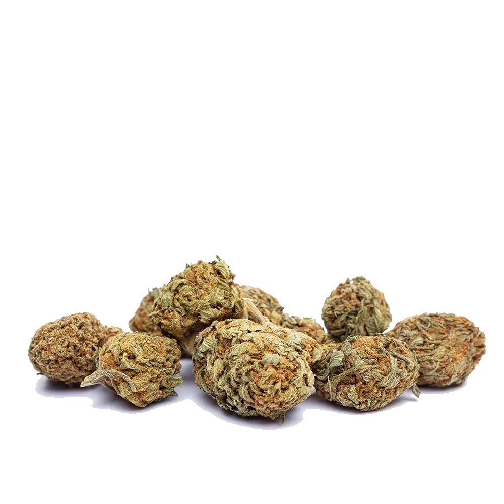 White Widow, photo 3