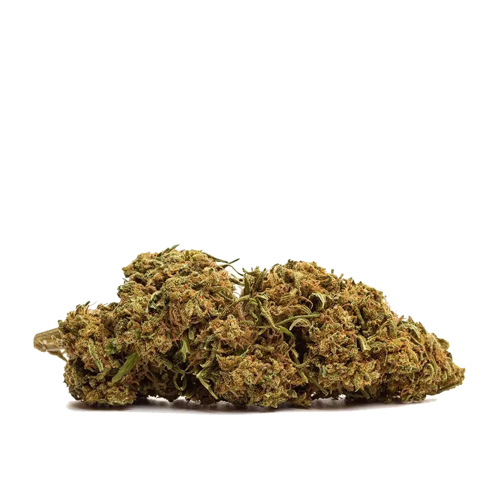 NYC Diesel