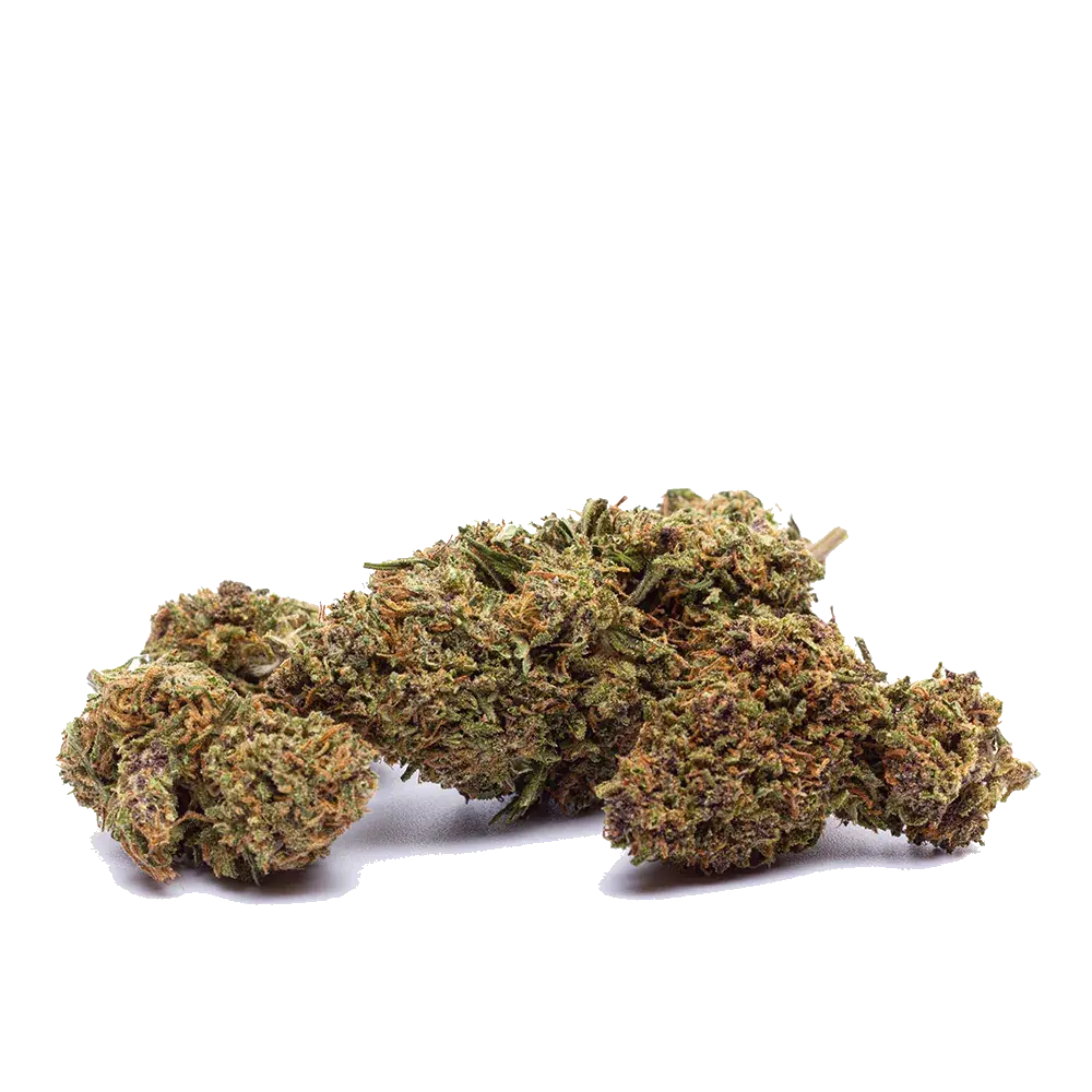 Orange Bud, photo 3