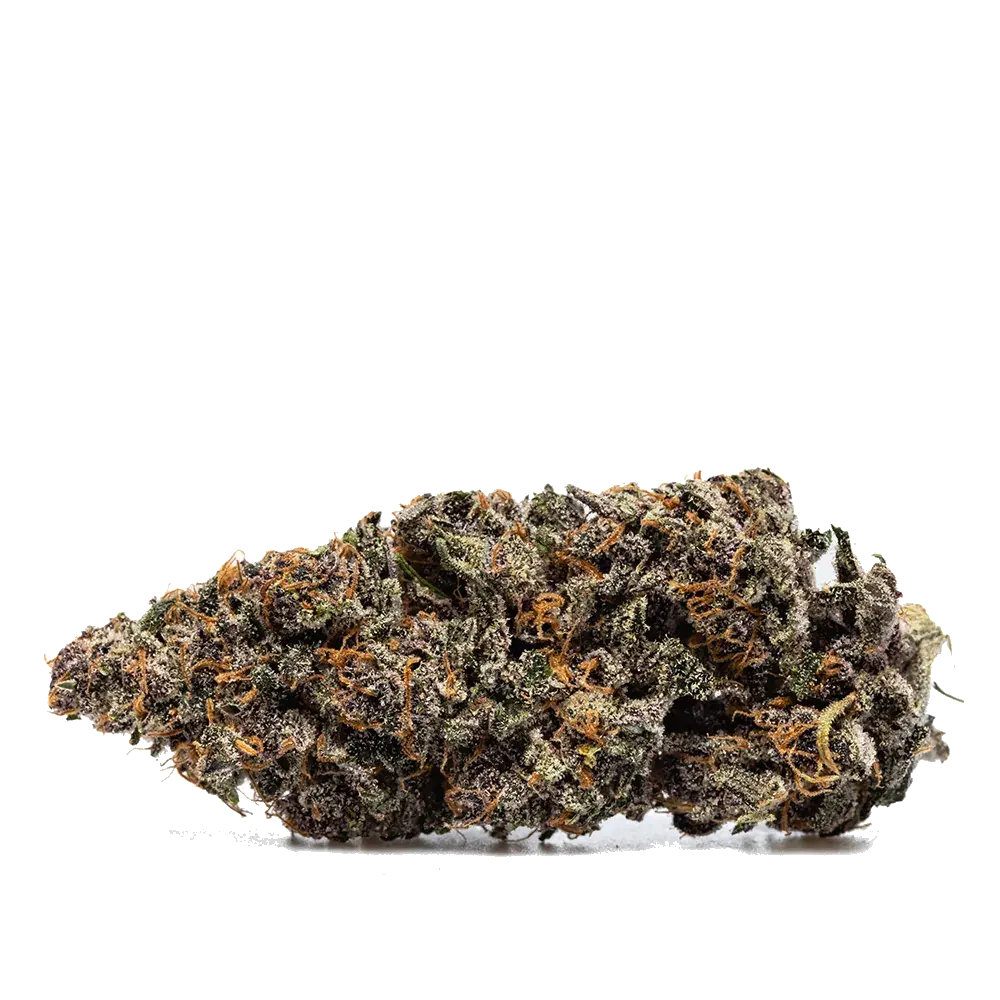 Orange Fritter