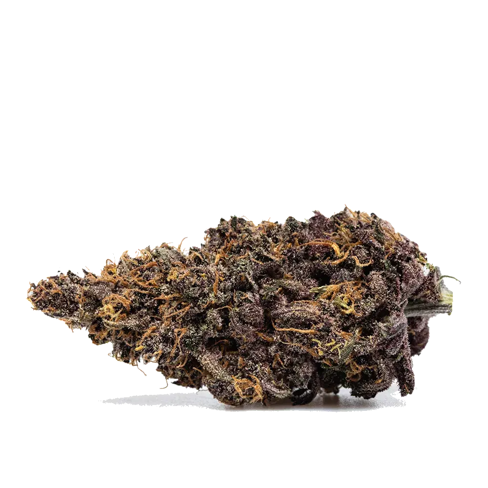Orange Fritter, photo 2