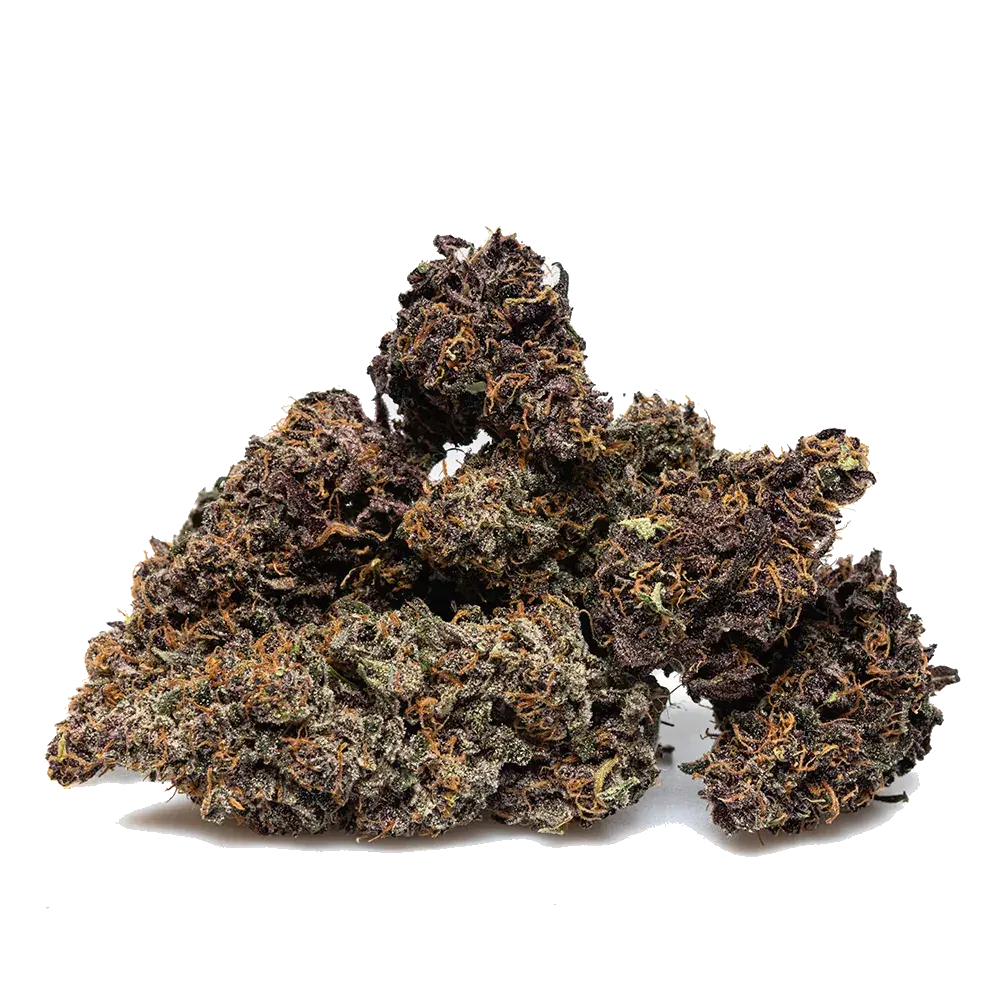 Orange Fritter, photo 3